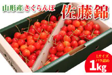 山形産 さくらんぼ 佐藤錦 1kg Lサイズ バラ詰め FY25-099