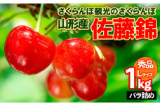 さくらんぼ観光のさくらんぼ 佐藤錦 L 1kg バラ詰め FY25-102