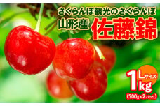 さくらんぼ観光のさくらんぼ 佐藤錦 1kg(500g×2) FY25-101
