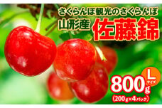 さくらんぼ観光のさくらんぼ 佐藤錦 L 800g(200g×4パック) FY25-103