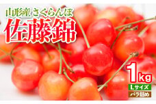 さくらんぼ 佐藤錦 Lサイズ バラ詰め 1kg 2025年産 くだもの フルーツ 農家直送 山形 山形県 山形市 令和7年産 山形県産 送料無料 サクランボ FY25-104