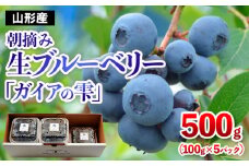 山形の朝摘み生ブルーベリー「ガイアの雫」500g(100g×5パック) FY25-109