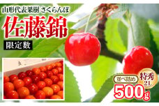 山形代表果樹 佐藤錦 特秀 2L 並べ詰め 500g 【限定数】 FY25-113
