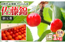 山形代表果樹 佐藤錦 特秀 2L 並べ詰め 1kg 【限定数】 FY25-114