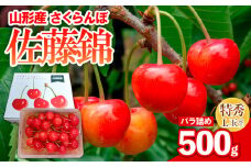 さくらんぼ 佐藤錦 500gパック バラ詰め 特秀 L玉以上 FY25-121