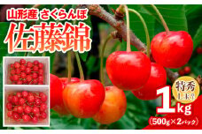 さくらんぼ 佐藤錦 1kg(500gパック×2) 特秀 L玉以上 FY25-122