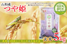 令和6年度産 山形産 「つや姫」5kg (玄米) 特別栽培米 8割減農薬・9割減化学肥料（当地比）【カブトエビが泳ぐほそやさんの田んぼから】微生物を活性化させるワーコム栽培 FY25-126