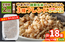 【定期便2回】やまがた雑穀玄米パックごはん 150g×9個 (つや姫・スーパー大麦・もち麦 3種ブレンド) ラベルレス 訳あり 山形 パックライス 備蓄 保存 パックライス FY25-175