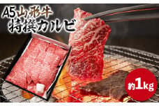 山形牛 A5 特選カルビ 約1kg FY25-198