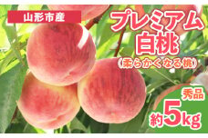 プレミアム白桃 秀品 約5kg (10～18玉) [柔らかくなる桃] FY25-200
