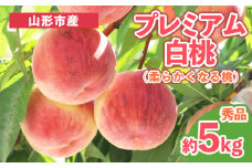 プレミアム白桃 秀品 約5kg (10～18玉) [柔らかくなる桃] FY25-200