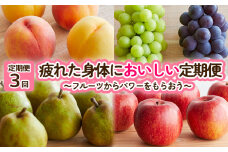 【定期便3回】疲れた身体においしい定期便　～フルーツからパワーをもらおう～ FY25-253