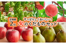 【定期便2回】すっばらしくおいしい！旬のくだものセット FY25-254