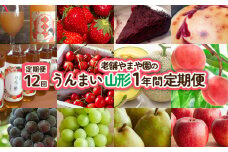 【定期便12回】老舗やまや園のうんまい山形１年間定期便 FY25-255
