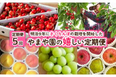 【定期便5回】明治9年にさくらんぼの栽培を開始したやまや園の嬉しい定期便 FY25-256