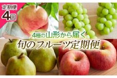 【定期便4回】4種の山形から届く旬のフルーツ定期便 FY25-219