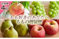 【定期便4回】もも好きのあなたへ ももの増量便 FY25-220