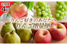【定期便4回】りんご好きのあなたへ りんご増量便 FY25-221