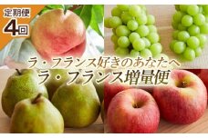 【定期便4回】ラ・フランス好きのあなたへ ラ・フランス増量便 FY25-222