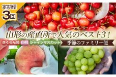 【定期便3回】山形の産直所で人気のベスト3！さくらんぼ・白桃・シャインマスカット【季節のファミリー便】 FY25-223