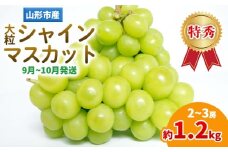 山形産 大粒シャインマスカット 約1.2ｋg(2～3房)(9～10月発送分) FY25-282