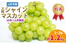 山形産 大粒シャインマスカット 約1.2ｋg(2～3房)(10～11月発送分) FY25-283
