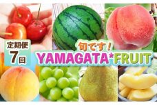 【定期便7回】旬です！YAMAGATA＊FRUIT FY25-285