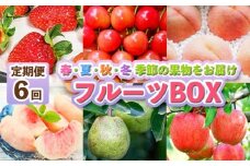 【定期便6回】フルーツBOX -定期便 6回- FY25-287