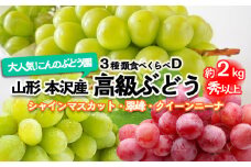 大人気！【こんのぶどう園】山形本沢産 高級ぶどう 3種食べくらべD 秀以上 約2kg 【令和7年産先行予約】FU22-336 フルーツ くだもの 果物 山形 山形県 山形市 ぶどう 葡萄 ブドウ セット 2025年産