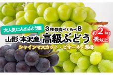 大人気！【こんのぶどう園】山形本沢産 高級ぶどう 3種食べくらべB 秀以上 約2kg 【令和7年産先行予約】FU22-338 フルーツ くだもの 果物 山形 山形県 山形市 ぶどう 葡萄 ブドウ セット 2025年産