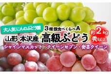 大人気！【こんのぶどう園】山形本沢産 高級ぶどう 3種食べくらべA 秀以上 約2kg 【令和7年産先行予約】FU22-339 フルーツ くだもの 果物 山形 山形県 山形市 ぶどう 葡萄 ブドウ セット 2025年産