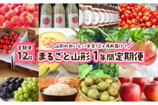 【定期便12回】まるごと山形 1年間定期便 FY23-685