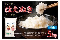 山形県産 おどろき はえぬき じょんだ米 5kg FY25-302
