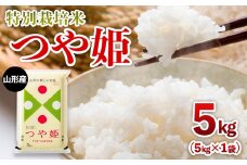 【限定数】令和6年産 山形産 特別栽培米 つや姫 5kg FY25-304