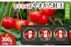 山形市産 さくらんぼ(やまがた紅王)2L 300g(100g×3) 【令和8年産先行予約】FS25-027