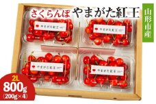 山形市産 さくらんぼ(やまがた紅王)2L 800g(200g×4) 【令和8年産先行予約】FS25-026