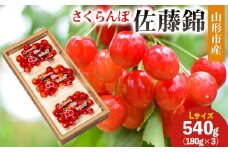 山形市産 さくらんぼ(佐藤錦)Ｌ 540g(180ｇ×3) 【令和8年産先行予約】FS25-030