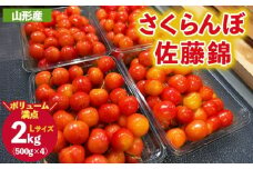 ご家庭みんなで楽しむ2kg！さくらんぼ 佐藤錦 Lサイズ 2kg (500g×4パック入り) 【令和8年産先行予約】FS25-031