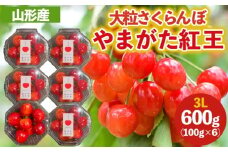 大粒のさくらんぼ「やまがた紅王」3Lサイズ 600g (100×６パック入り) 【令和8年産先行予約】FS25-032