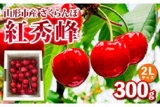 山形市産 さくらんぼ【紅秀峰】2Lサイズ 300g バラ詰め【令和8年産先行予約】FS25-033