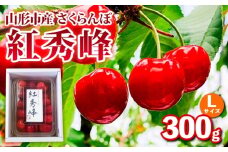 山形市産さくらんぼ【紅秀峰】Lサイズ 300g バラ詰め【令和8年産先行予約】FS25-034