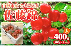 山形市産さくらんぼ【佐藤錦】Lサイズ 400g(200g×2パック) 【令和8年産先行予約】FS25-035