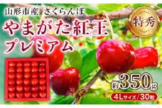 山形市産さくらんぼ「やまがた紅王プレミアム」 約350g 特秀品 4L 30粒  【令和8年産先行予約】FS25-037