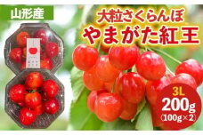 大粒のさくらんぼ やまがた紅王 3Lサイズ 200g (100g×2パック入り) 【令和8年産先行予約】FS25-038