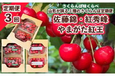 【定期便3回】さくらんぼ味くらべ 山形が誇る3種のさくらんぼ定期便 －佐藤錦・紅秀峰・紅王－ 【令和8年産先行予約】FS25-039