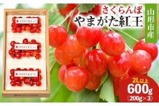 山形市産 さくらんぼ(やまがた紅王)2L以上 600g(200g×3) 【令和8年産先行予約】FS25-051