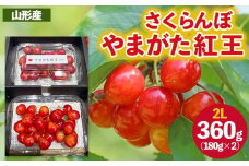 さくらんぼ ”やまがた紅王” 2Lサイズ (180g×2パック入り) 【令和8年産先行予約】FS25-054