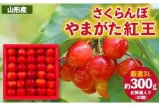 さくらんぼ ”やまがた紅王” 厳選 3Lサイズ 30粒 化粧箱入り(約300g) 【令和8年産先行予約】FS25-056