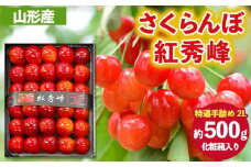 さくらんぼ 紅秀峰 ”特選手詰め” 2Lサイズ 化粧箱入り(約500g) 【令和8年産先行予約】FS25-057