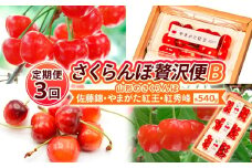 【定期便3回】【さくらんぼ贅沢便B】山形のさくらんぼ 佐藤錦・やまがた紅王・紅秀峰 各540g×3回 【令和8年産先行予約】FS25-001